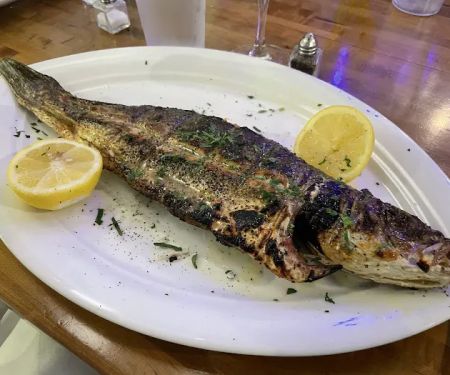 Greek Taverna - Montclair