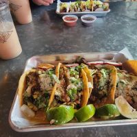 tacoria - Mexican Street Kitchen ico
