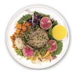 Elephant Plate Montclair