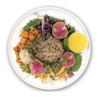 Elephant Plate Montclair ico