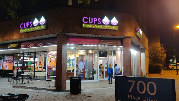 CUPS Frozen Yogurt Picture 6