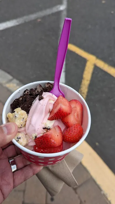 CUPS Frozen Yogurt Picture 4