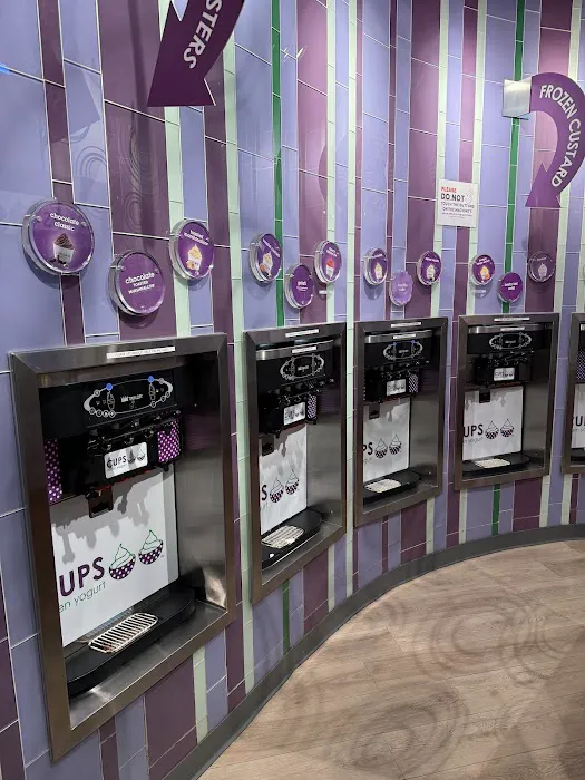 CUPS Frozen Yogurt Picture 5