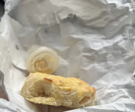 The Biscuit Babe LLC