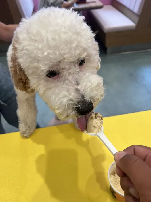 Van Leeuwen Ice Cream Picture 3