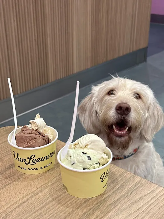 Van Leeuwen Ice Cream Picture 1