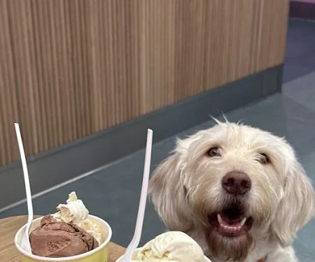 Van Leeuwen Ice Cream