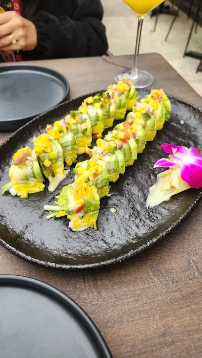 Saku Hoboken Picture 4