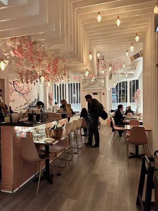Saku Hoboken Picture 8