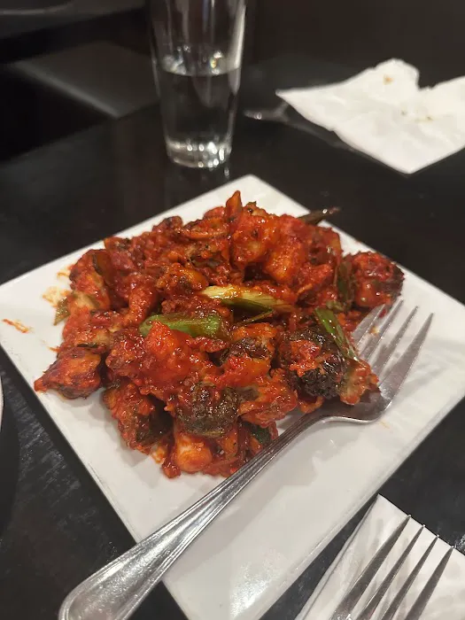 Szechaun Mirchi Indo-Chinese Cuisine (Jersey City) Picture 3