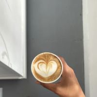 DOMUS ico