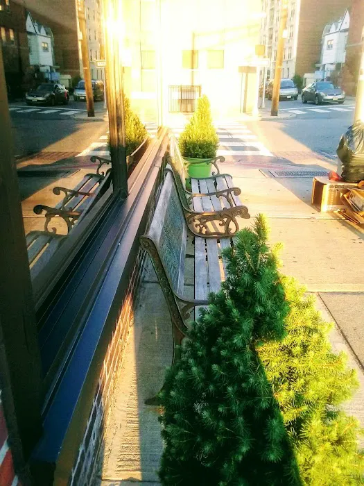 City Cafe & Grill Picture 10