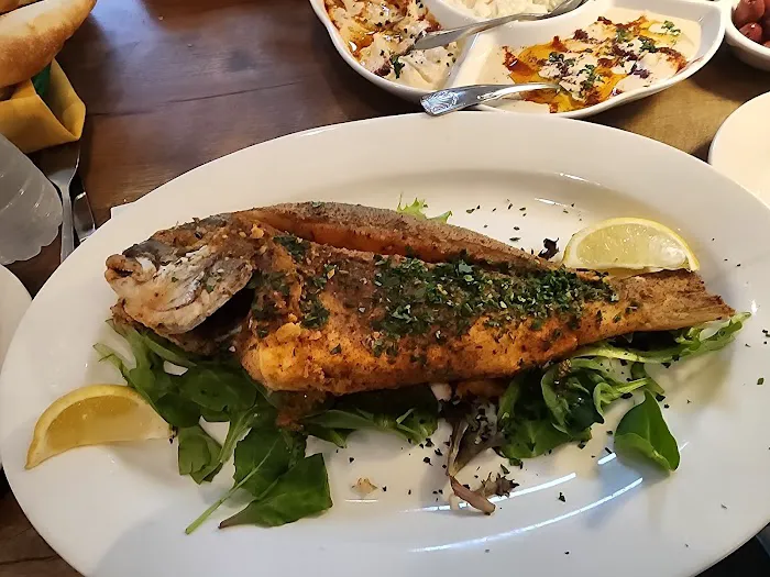 Seagull Mediterranean Seafood Picture 10