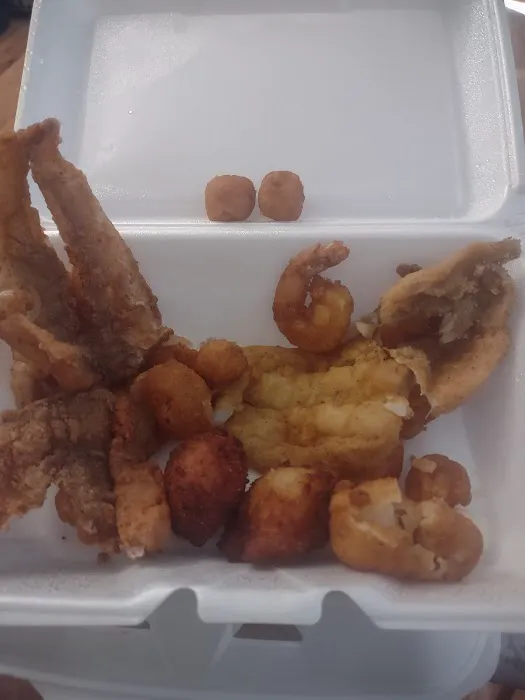 THAT FISH SPOT ON GOVERNOR Picture 2
