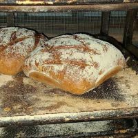 Oskar Bakery ico