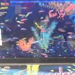 Angie's Liquor & Bar