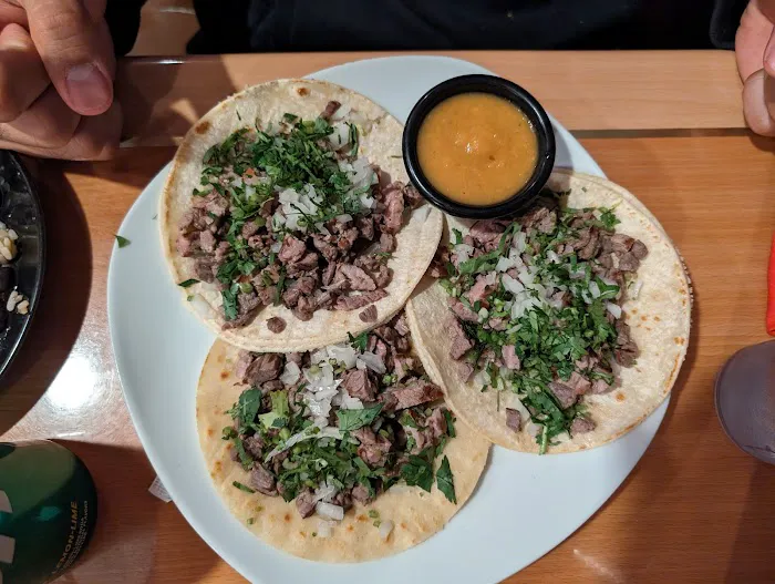 El Gallo Mexican Cuisine Picture 8