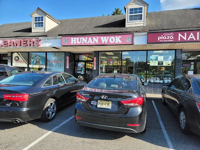 Hunan Wok Picture 9