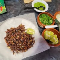 Don Lalo Restaurant ico