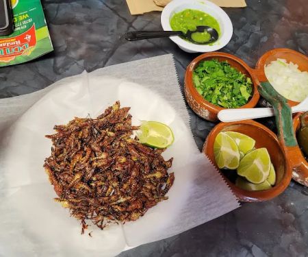 Don Lalo Restaurant