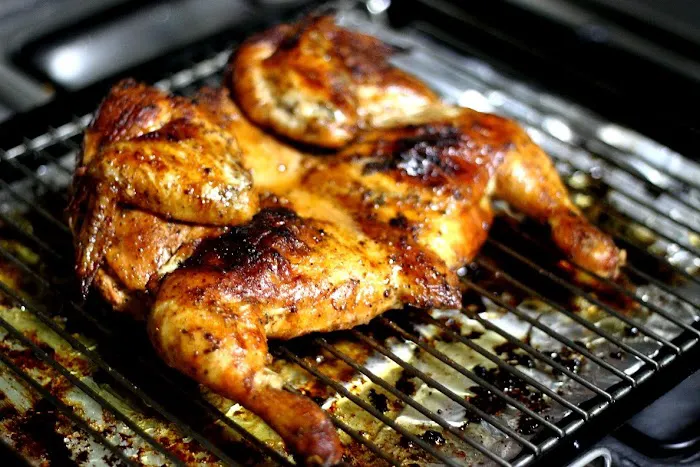 European Grill & BBQ Picture 8