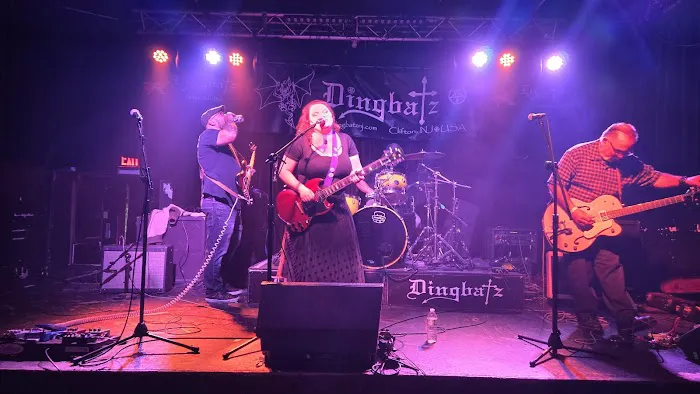 Dingbatz Picture 2