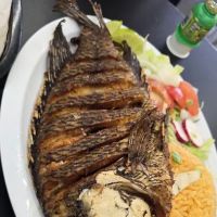 Mexico Lindo Deli Lexington ico