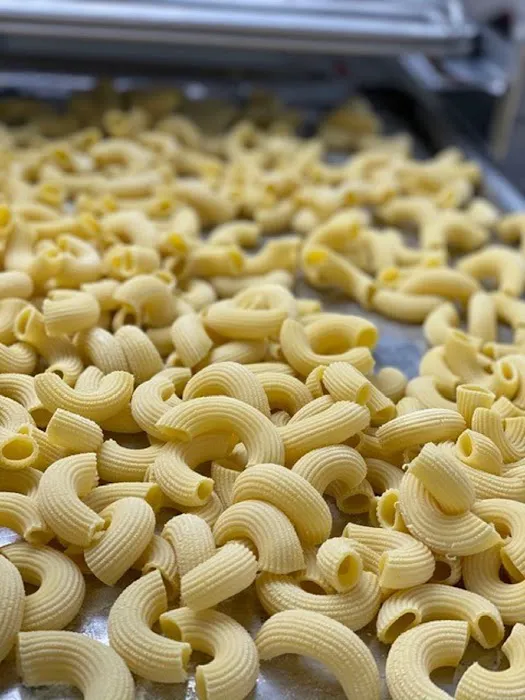Alessandro's Italian Picture 3