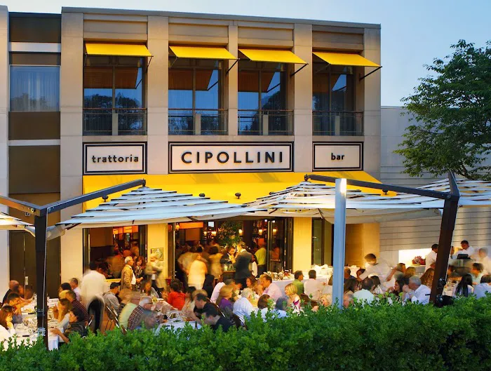 Cipollini Picture 10