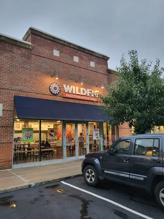 Wild Fig Picture 5