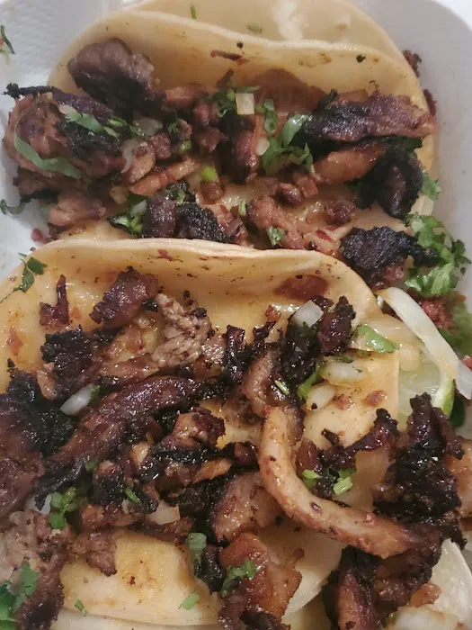 Taco LOPEZ Picture 1