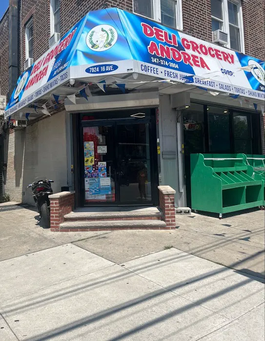 Deli Grocery Andrea Picture 5