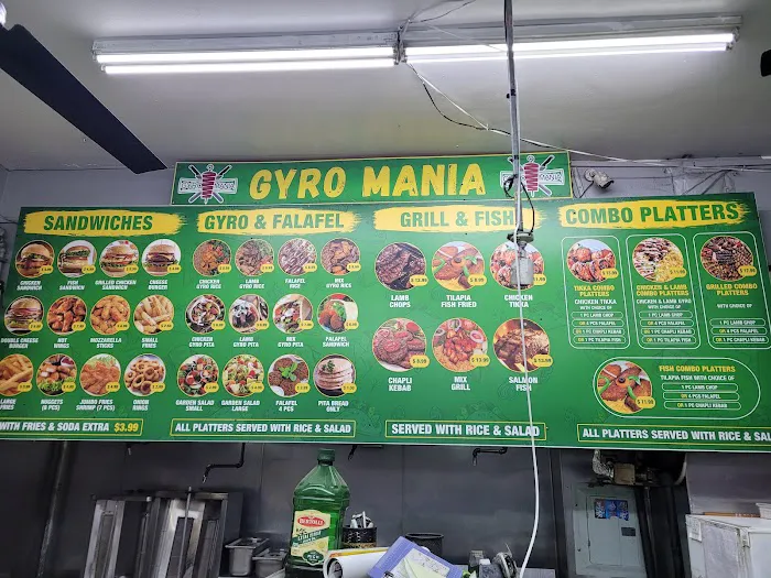Gyro Mania Picture 7