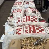 Five Guys ico