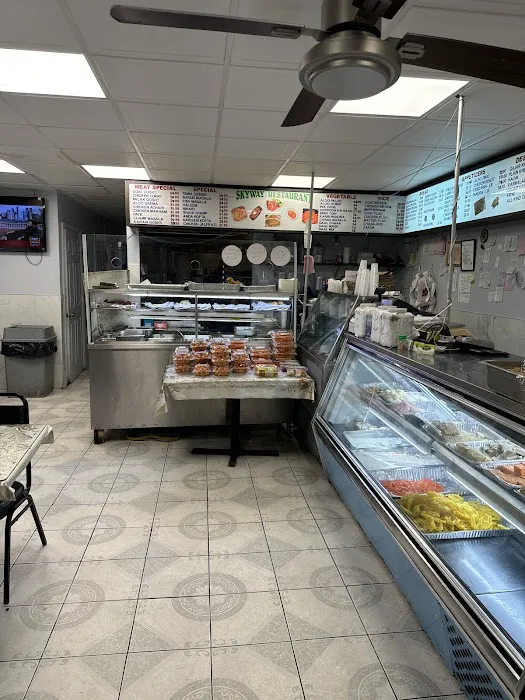 Skyway Restaurant and Kebab House Picture 7
