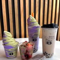 Robin’s Creamery ico
