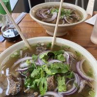 Kenko Asian Cuisine ico