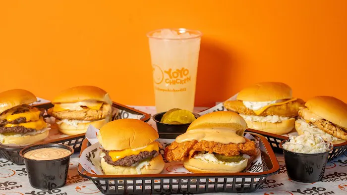 Yoyo Chicken Picture 8