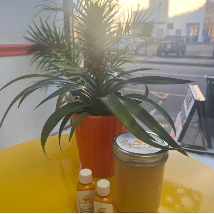 Squeeze Juice Bar and Vegan Treats Picture 3