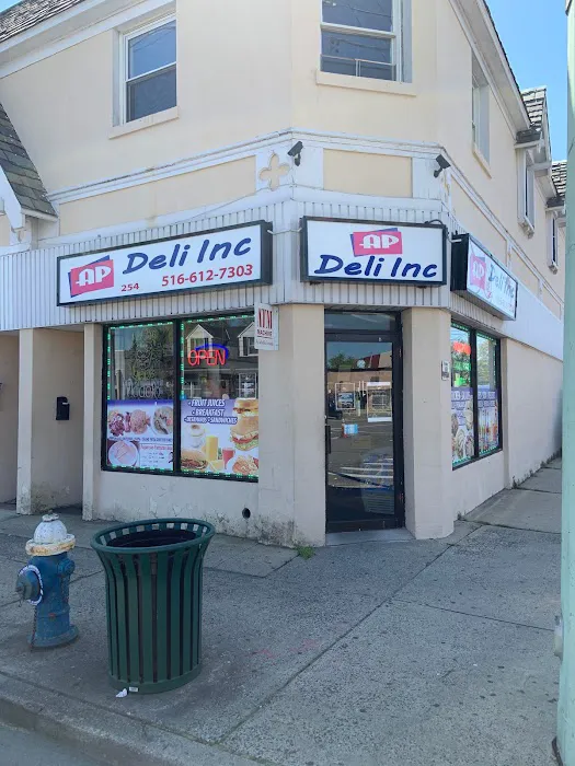 AP DELI, INC Picture 2