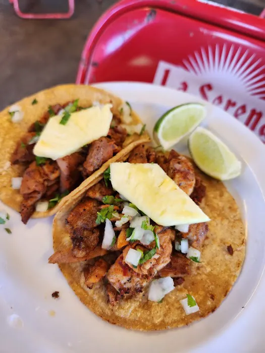 Tacombi Picture 6