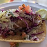 Tacombi ico