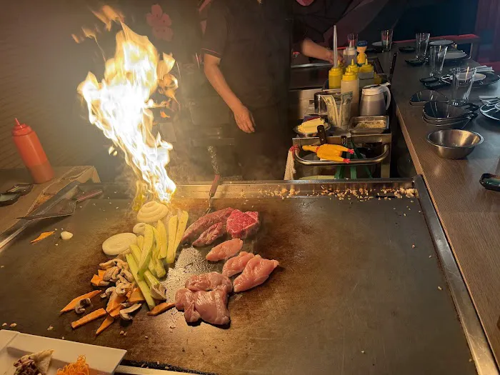 Hibana Kosher Hibachi Picture 4