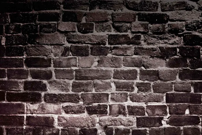 Speakeasy Picture 1