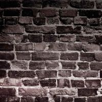 Speakeasy ico