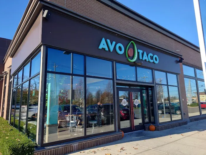 AVO TACO Picture 3