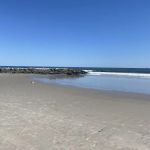 Caracas Arepa Bar (summer only)