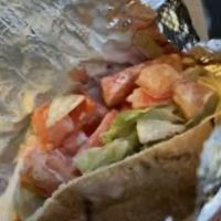 Tasty Spot Shawarma ico
