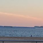 Boardwalk Beer Garden