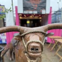 Taqueria El Torito To Go ico